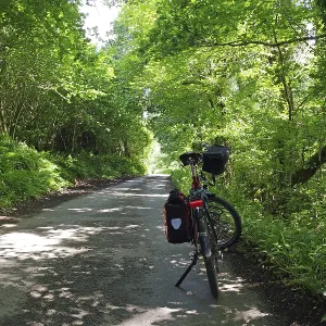 Cycling along a shady forest path surrounded by lush greenery Cycling along a shady forest path surrounded by lush greenery