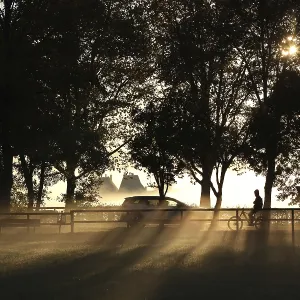 A cyclist rides freehand in the golden backlight of the morning sun on a cycle path under trees