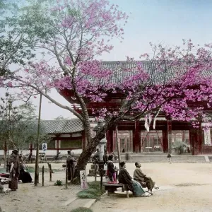 Daibutsu Nara temple, Japan, Asia