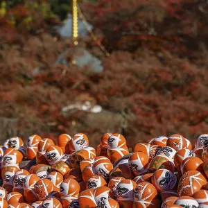 Many Daruma figures in front of an autumn mountain panorama creating a spiritual atmosphere Many Daruma figures in front of an autumn mountain panorama creating a spiritual atmosphere