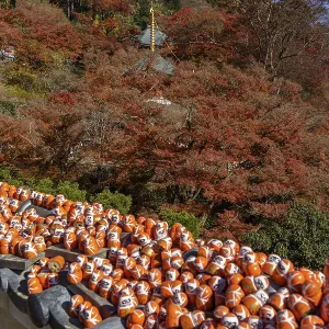 Daruma figures on a roof with autumnal mountain and tree scenery in the background Daruma figures on a roof with autumnal mountain and tree scenery in the background