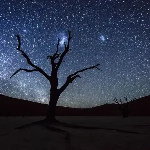 Dead tree in front of starry sky with Milky Way Dead tree in front of starry sky with Milky Way