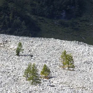 Debris pile after storm in Kolm Saigurn