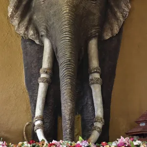 Decoration on wall - elephant in the Buddhist monastery