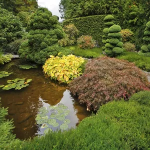 Decorative Japanese garden. A stream Decorative Japanese garden. A stream