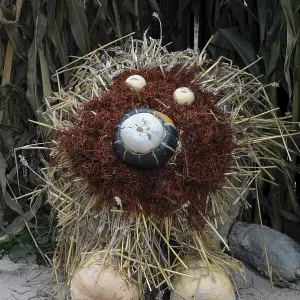 A decorative lion made of pumpkins and straw in an autumn environment A decorative lion made of pumpkins and straw in an autumn environment
