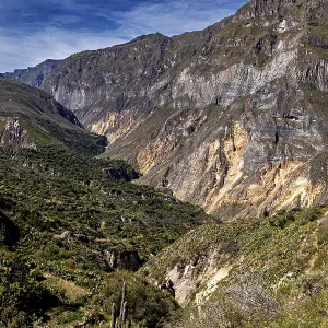 Colca Canyon Landscape Print - Peru