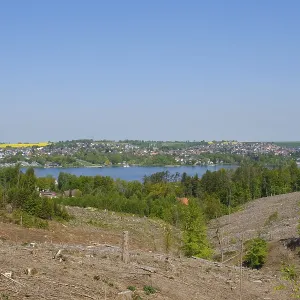 Deforested spruce forest, Arnsberg Forest nature Park
