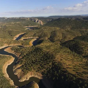 Dehesa, holm oak forest with river Dehesa, holm oak forest with river