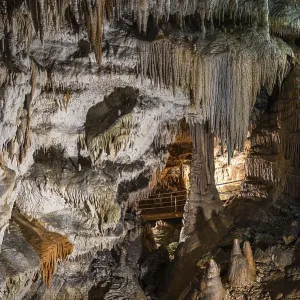 Demanovska Freedom Cave (Demanovska Jaskyna Slobody) in Slovakia