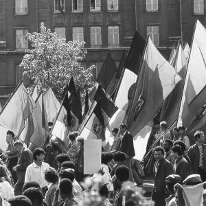 All Images Collection: 1985