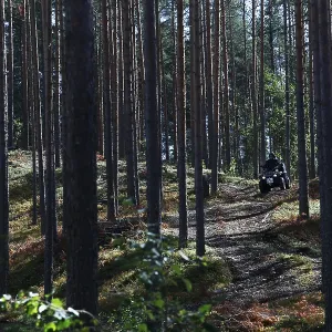 Dense Forest with ATV, Punkaharju, Finland Print