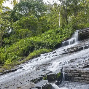 Derema Waterfall flows through thick vegetation