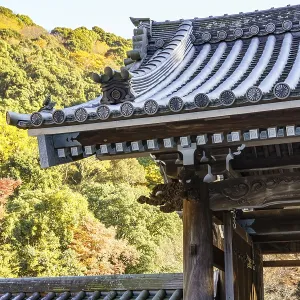 Detailed Japanese temple roof against a background of colorful autumn leaves