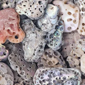 A detailed macro shot of abalone shell fragments in various shapes and sizes A detailed macro shot of abalone shell fragments in various shapes and sizes