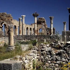 Detailed view of the basilica of Volubilis with well-preserved columns against a bright blue sky