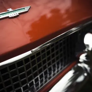 Detailed view of a red vintage Ford Thunderbird logo and grille with chrome elements in St