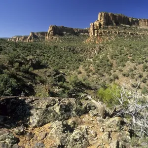 Devils Canyon at McInnis Canyons National Conservation Area Devils Canyon at McInnis Canyons National Conservation Area