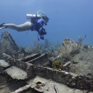 Diver swimming over the wreck of the Benwood Diver swimming over the wreck of the Benwood