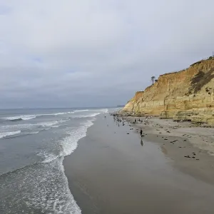 Dog Beach off-leash on Del Mar North Beach Dog Beach off-leash on Del Mar North Beach