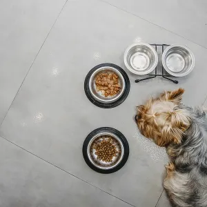 A dog lying beside dry food bowls on a tiled floor A dog lying beside dry food bowls on a tiled floor