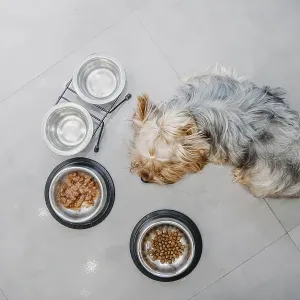 A dog lying on a tile floor next to food bowls A dog lying on a tile floor next to food bowls
