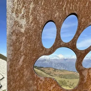 Dog Paw on a Rusty Metal Plate with Mountain View in a Sunny Day in Ticino Dog Paw on a Rusty Metal Plate with Mountain View in a Sunny Day in Ticino