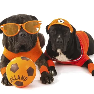 Dogs as Dutch soccer fans in orange with ball isolated over white background Dogs as Dutch soccer fans in orange with ball isolated over white background
