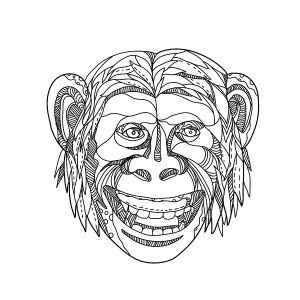 Doodle art illustration of head of a humanzee Doodle art illustration of head of a humanzee