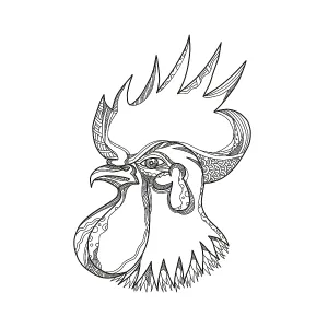 Doodle art illustration of head a junglefowl Doodle art illustration of head a junglefowl