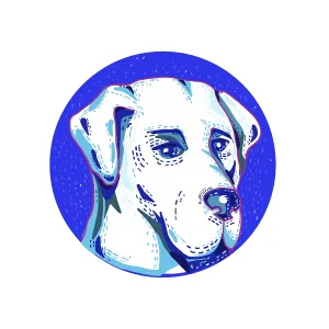 Doodle art illustration of head of a Labrador Retriever or Lab Doodle art illustration of head of a Labrador Retriever or Lab