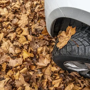Driving on autumn leaves, slippery surfaces Driving on autumn leaves, slippery surfaces