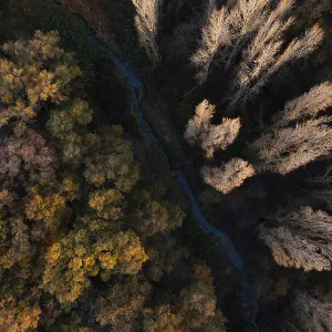 Autumn River Scene Print: Drone-Captured Landscape Autumn River Scene Print: Drone-Captured Landscape