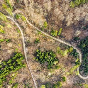 Drone image, Swabian Forest, mixed forest Drone image, Swabian Forest, mixed forest