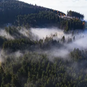 Drone shot, autumn landscape, morning fog over a coniferous forest Drone shot, autumn landscape, morning fog over a coniferous forest