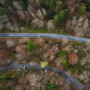 Drone shot, Wangauer Ache with federal road and autumnal mixed forest from above