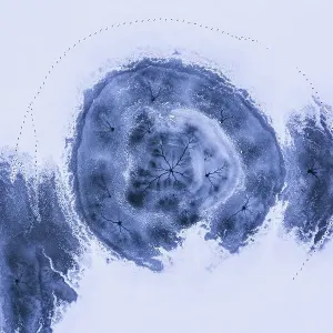 Drone view. Abstract forms created on surface of freezing lake Drone view. Abstract forms created on surface of freezing lake