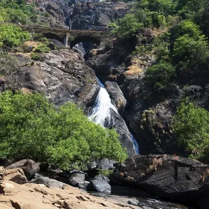 Dudhsagar waterfall on the Mahadayi River in Goa