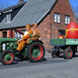 Easter bunnies, tractor, Niebuell Easter bunnies, tractor, Niebuell