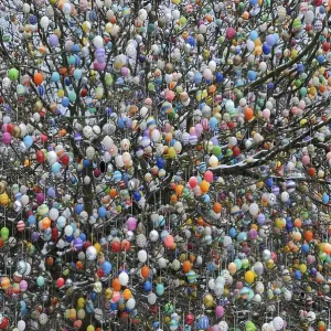 Easter egg tree, Germany, Europe Easter egg tree, Germany, Europe