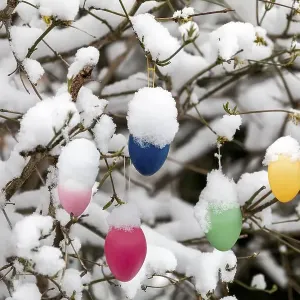 Easter eggs on a snowy tree Easter eggs on a snowy tree