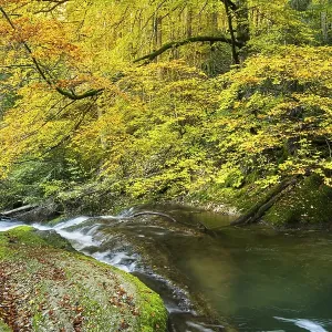 The Eistobel nature reserve, a gorge of the Obere Argen river The Eistobel nature reserve, a gorge of the Obere Argen river