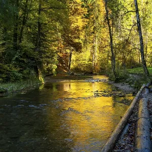 The Eistobel nature reserve, a gorge of the Obere Argen river The Eistobel nature reserve, a gorge of the Obere Argen river