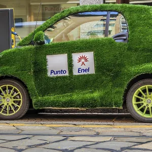 An electric Smart car with grass cover