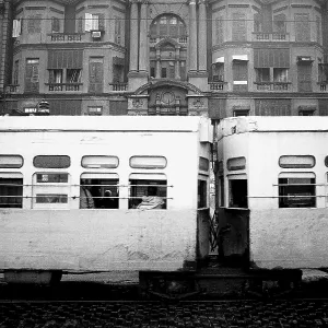 All Images Collection: 2011