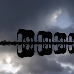 Elephant family reflected in the water during a thunderstorm Elephant family reflected in the water during a thunderstorm
