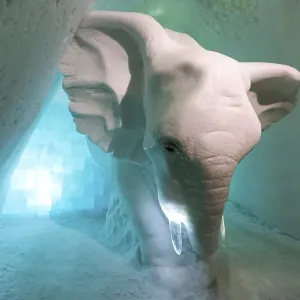Icehotel Elephant Print, Jukkasjaervi, Sweden