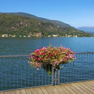 Elevated Walkway with Flowers on the Railing on Lake Lugano with Mountain in a Sunny Summer Day in Porto Ceresio