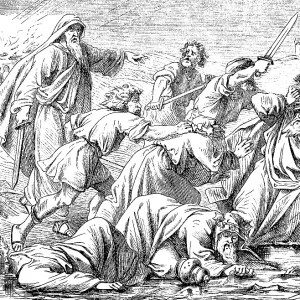 Elijah has the, Baal priest grab and kill