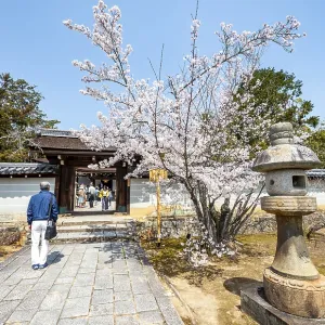 Entrance to Miedo of Ninna-ji Temple Entrance to Miedo of Ninna-ji Temple